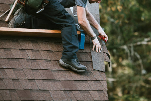 Best Roof Gutter Cleaning  in Weissport East, PA